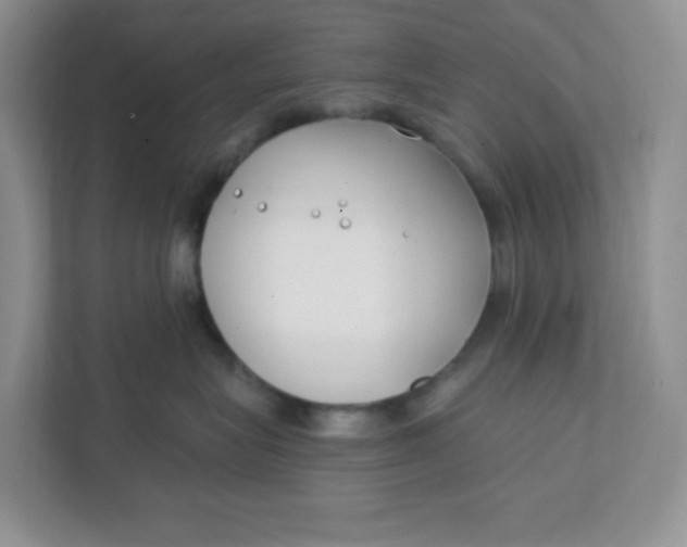 X0000111890575200908061336