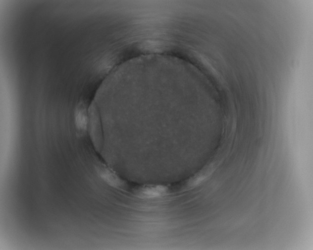 X0000111890576200908061336