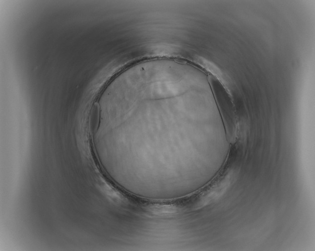 X0000111890577200908061336