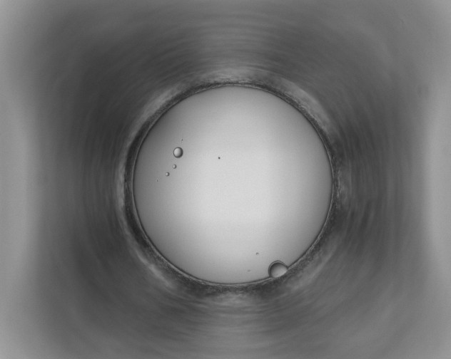 X0000111890578200908061336