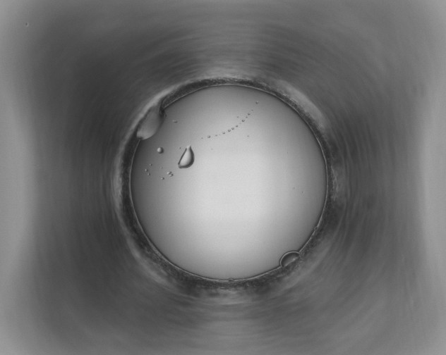 X0000111890580200908061336