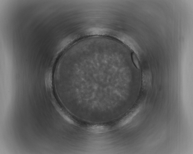 X0000111890581200908061336