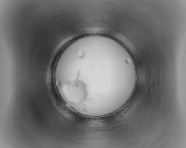 X0000111890583200908061335