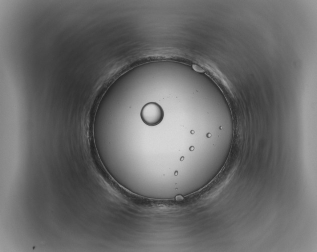 X0000111890585200908061335