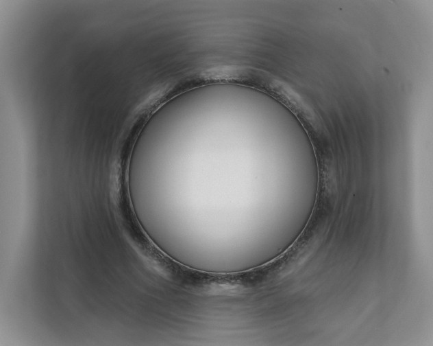 X0000111890586200908061335