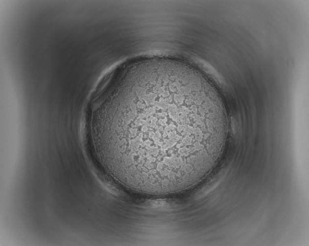 X0000111890588200908061335