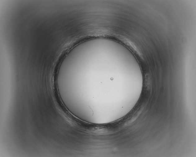 X0000111890589200908061335