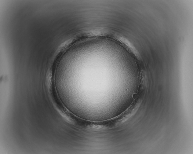 X0000111890590200908061335