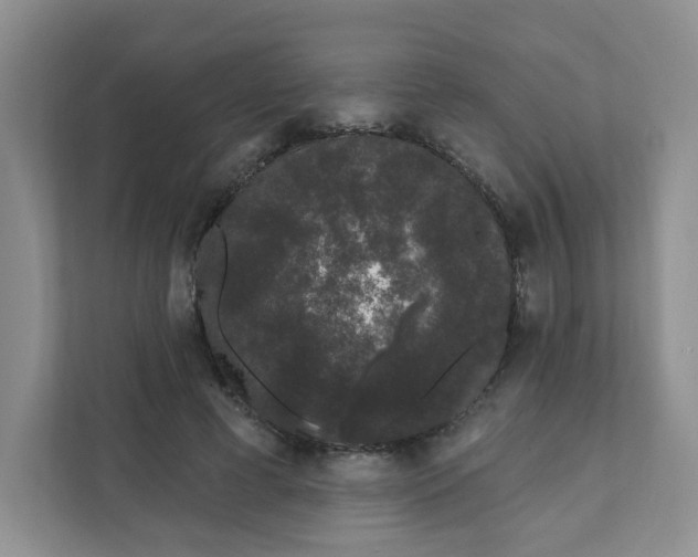 X0000111890593200908061335