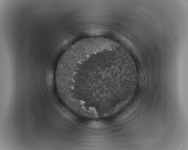 X0000111890596200908061335