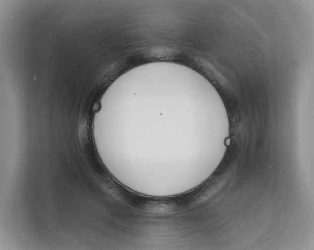 X0000111890597200908061335