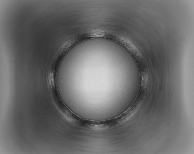 X0000111890598200908061335