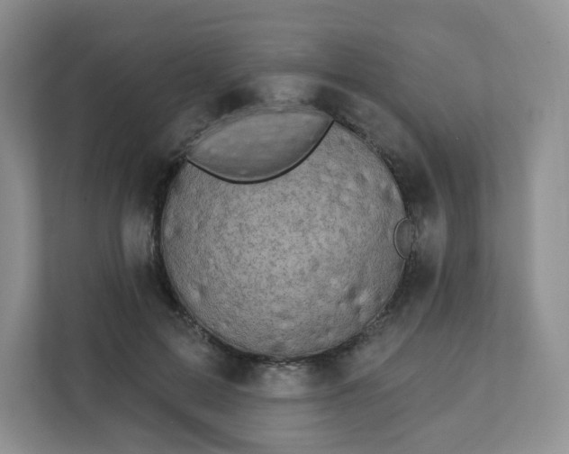 X0000111890599200908061335