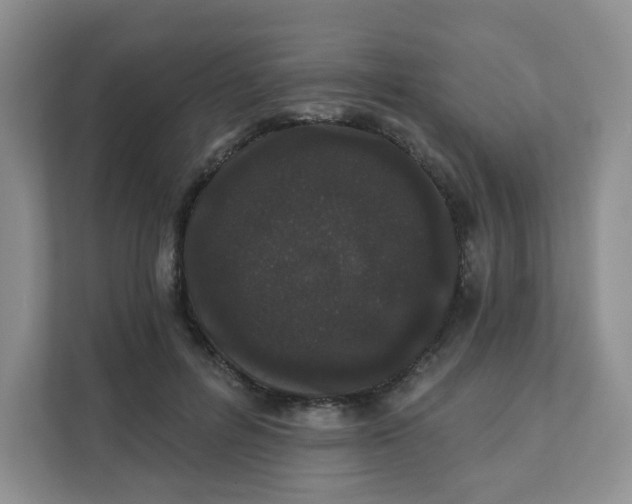 X0000111890600200908061335