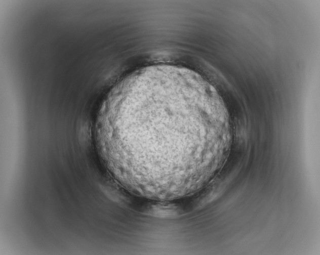 X0000111890603200908061335