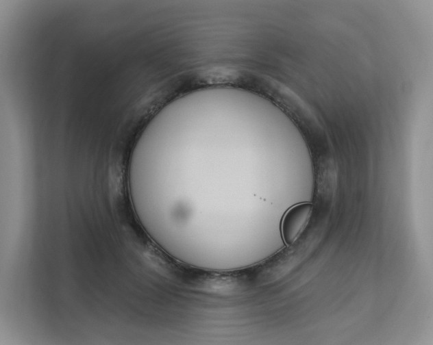 X0000111890604200908061335