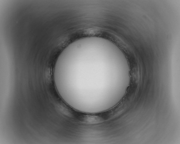 X0000111890605200908061335