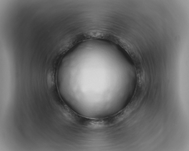 X0000111890606200908061335