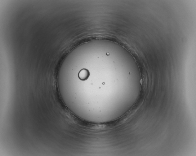 X0000111890609200908061335