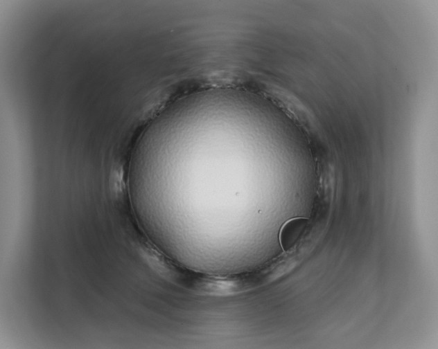 X0000111890610200908061335