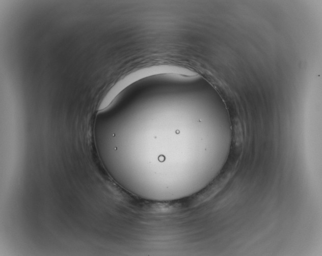 X0000111890613200908061335