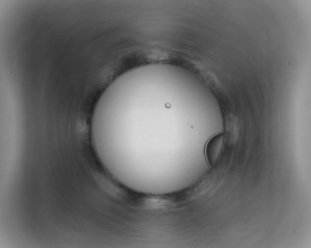 X0000111890614200908061335