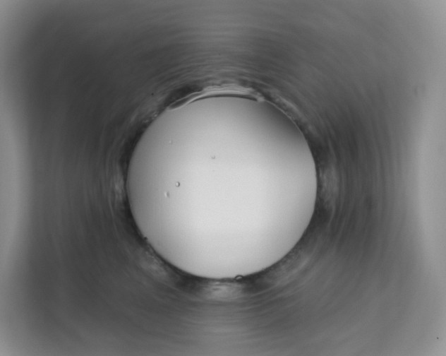 X0000111890617200908061335