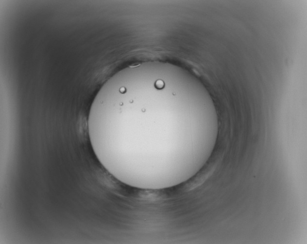 X0000111890624200908061335