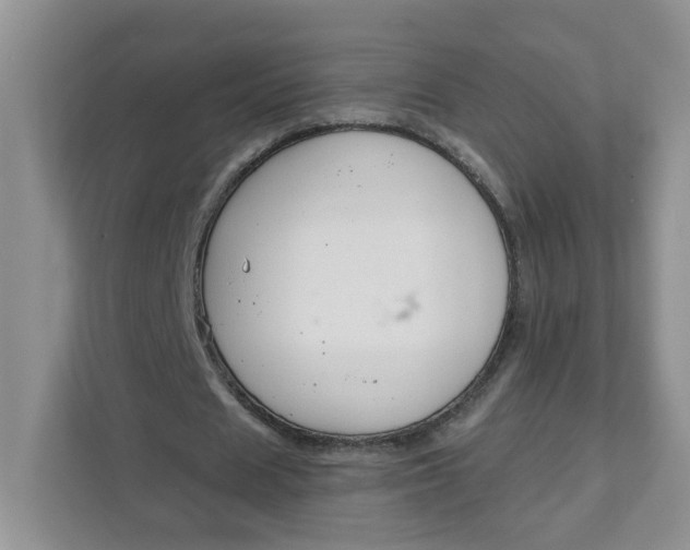 X0000111890625200908061334