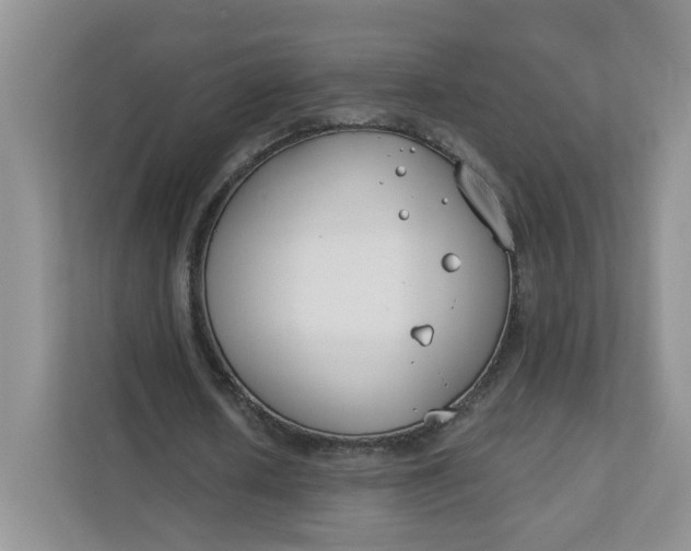 X0000111890626200908061334