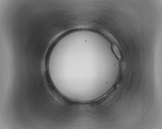 X0000111890628200908061334