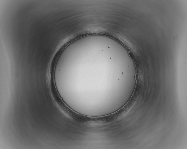 X0000111890630200908061334