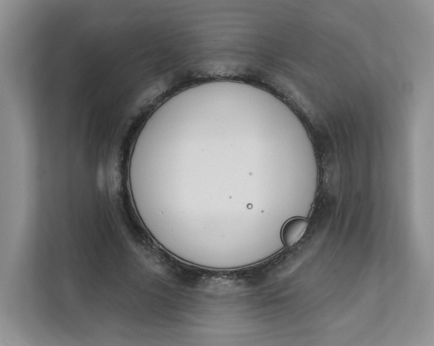 X0000111890635200908061334