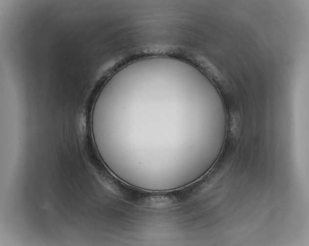 X0000111890636200908061334