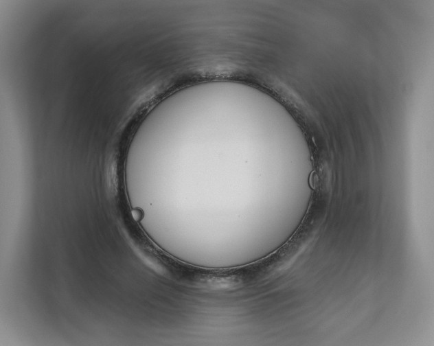 X0000111890638200908061335