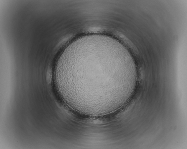 X0000111890640200908061335