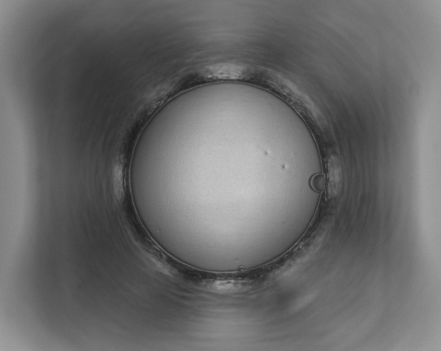 X0000111890641200908061335