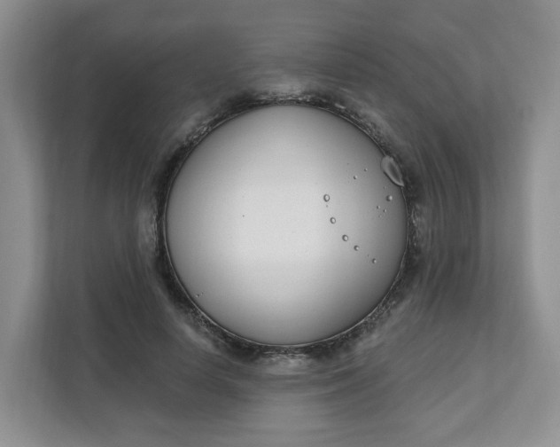 X0000111890642200908061335