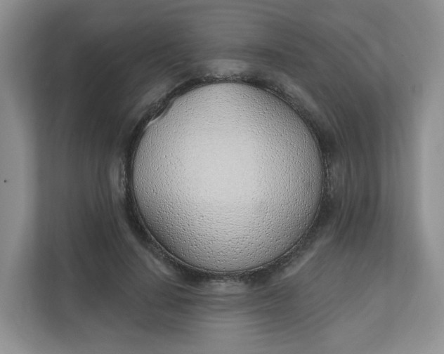 X0000111890644200908061335