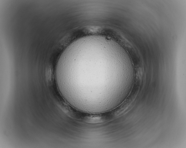 X0000111890651200908061335