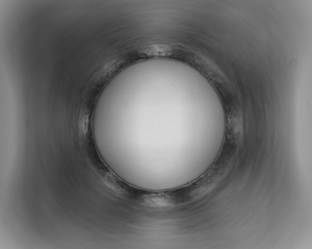 X0000111890652200908061335