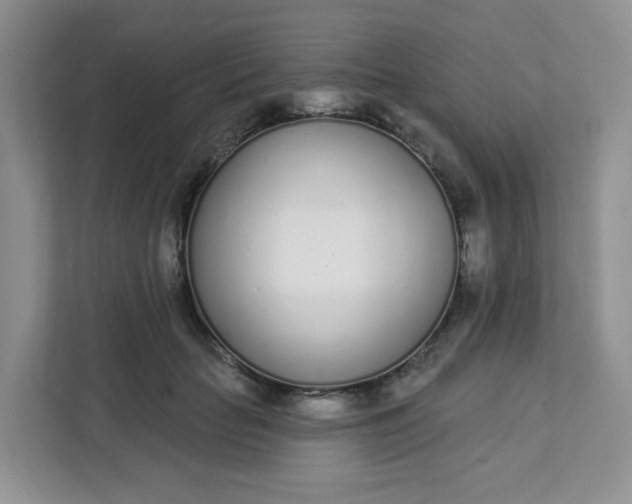 X0000111890653200908061335