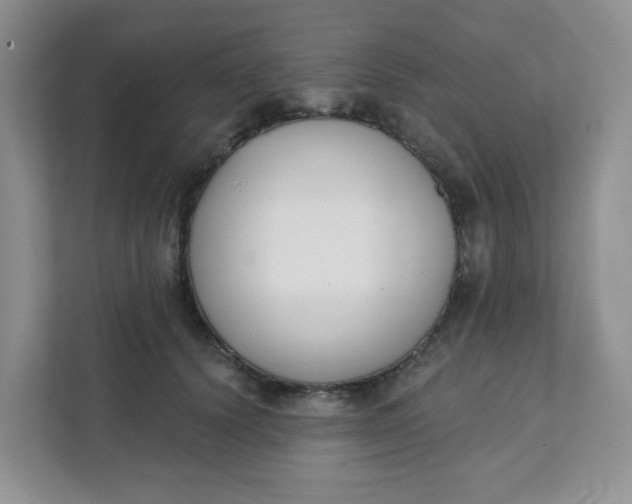 X0000111890656200908061335