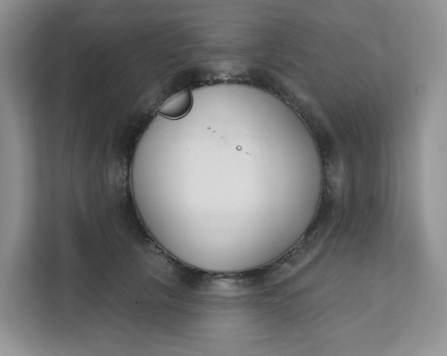 X0000111890657200908061335