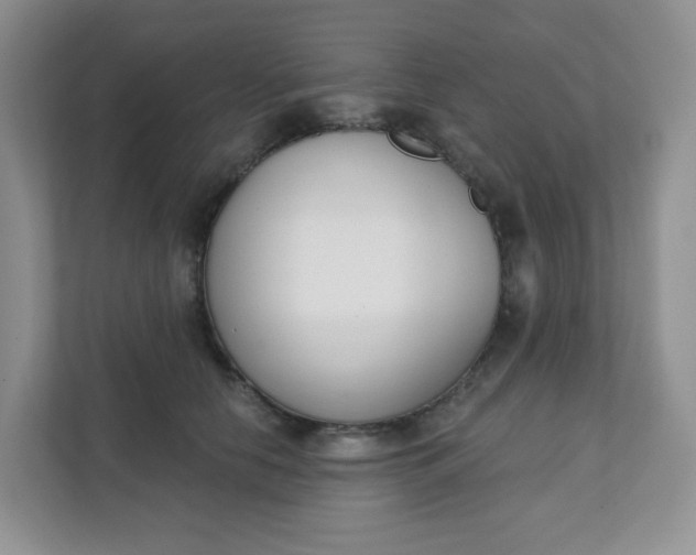 X0000111890658200908061335