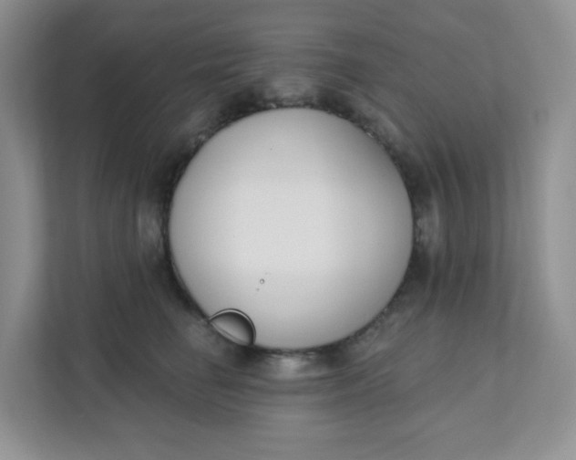 X0000111890662200908061335