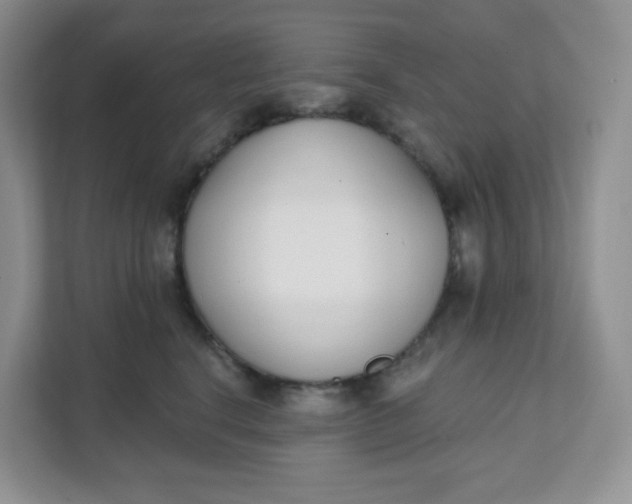 X0000111890664200908061335