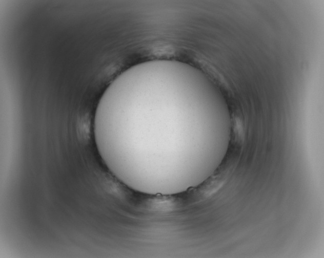 X0000111890668200908061335