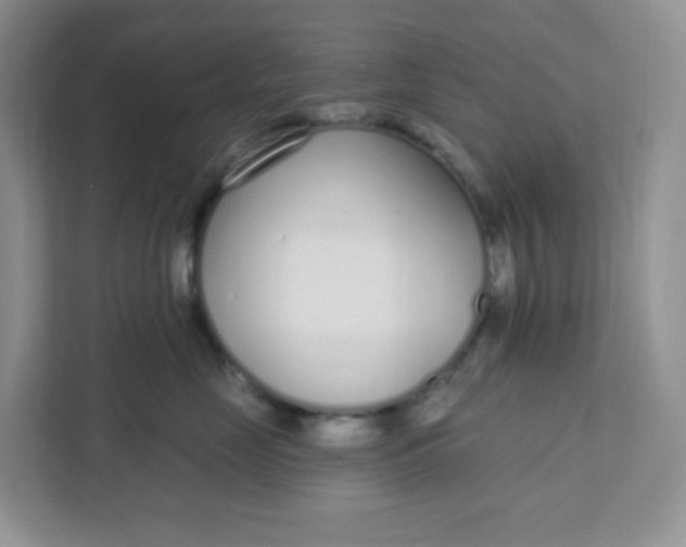 X0000111890669200908061335