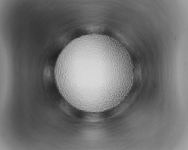 X0000111890671200908061335